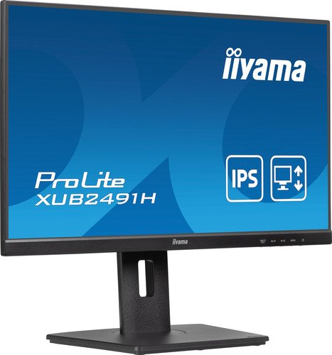 iiyama ProLite XUB2491H-B1 - 4
