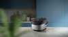 Philips Cuiseur de riz HD3093/80 - 6