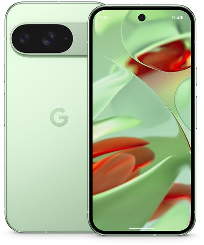Google Pixel 9 128GB Wintergreen - 1