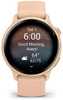 Garmin VivoActive 6 Pink Dawn - 1