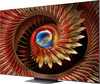 TCL QD-MiniLED 65Q8C (2025) - 4