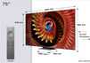 TCL QD-MiniLED 75Q8C (2025) - 19