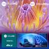 Philips 65PUS8500/12 (2025) - 5