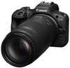 Canon RF 75-300mm F4-5.6 - 5