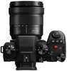 Panasonic LUMIX S5II + 20-60mm f/3.5-5.6 + 50mm f1.8 - 4
