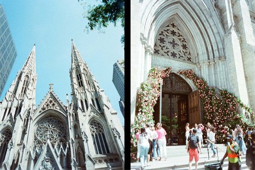 Kodak Ektar H35N - Glazed Orange - 9