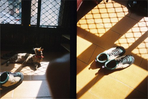 Kodak Ektar H35N Camera (Striped Silver) - 9