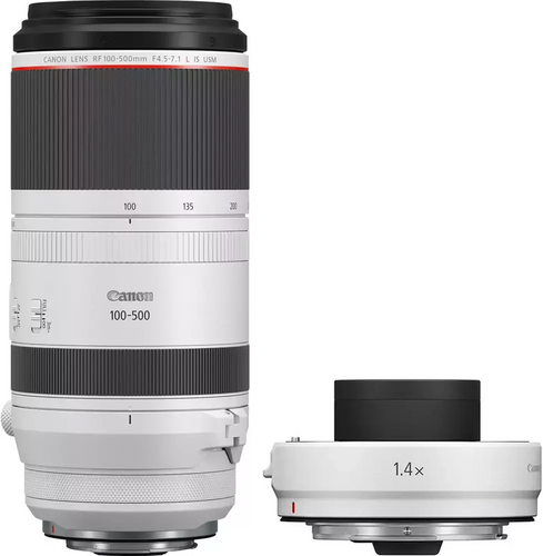 Canon RF 100-500mm f/4.5-7.1 L IS USM + Extender 1.4x - 1