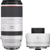 Canon RF 100-500mm f/4.5-7.1 L IS USM + Extender 2x - 1