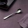 Robert Welch Malvern Theelepel uit RVS 13.7cm - 3
