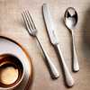 Robert Welch Radford Set van 4 Steakmessen uit RVS 24.9cm - 3