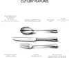 Robert Welch Radford Tafellepel uit RVS 20cm - 6