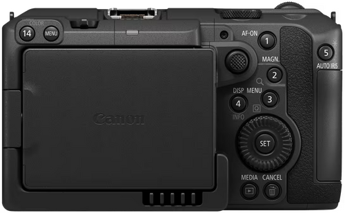 Canon EOS C50 + RF 24-70mm f/2.8 L IS USM - 4