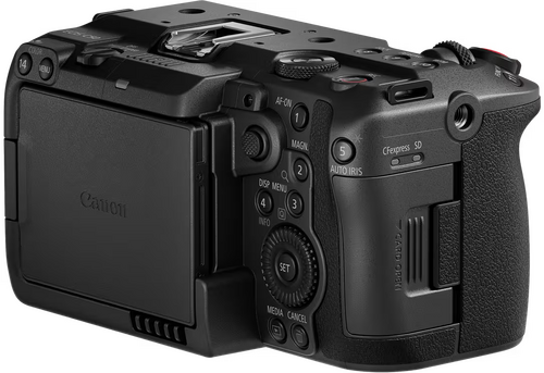 Canon EOS C50 + RF 24-70mm f/2.8 L IS USM - 5