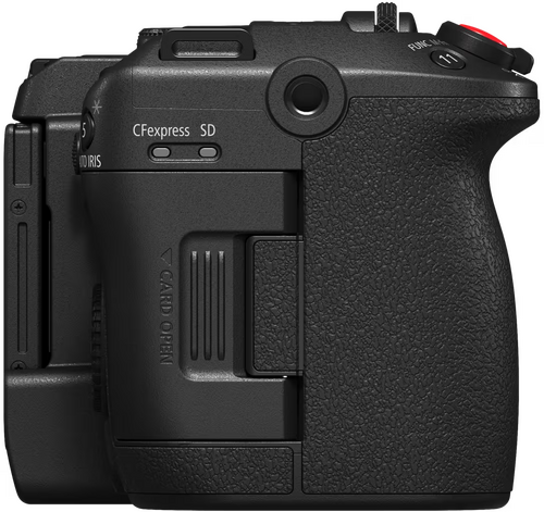 Canon EOS C50 + RF 24-70mm f/2.8 L IS USM - 6