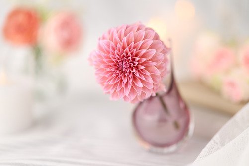 Canon RF 85mm F1.4 VCM - 31