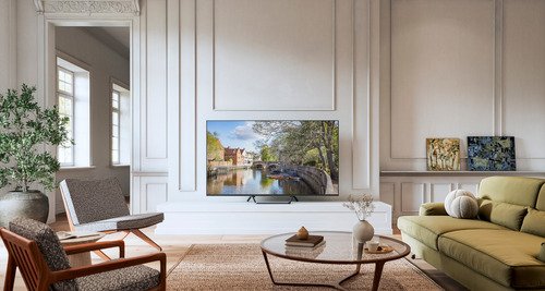 Panasonic Mini LED TV-85W95BEG - 12