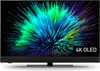 Panasonic OLED TV-48Z90BE6 - 8