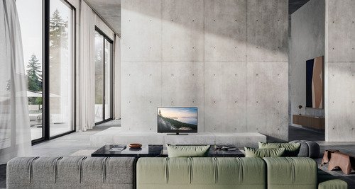 Panasonic OLED TV-55Z90BE6 - 12