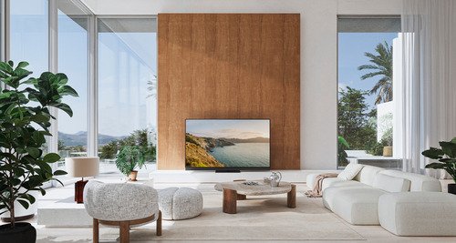 Panasonic OLED TV-55Z95BEG - 12