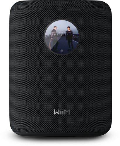 WiiM Sound - Zwart - 4