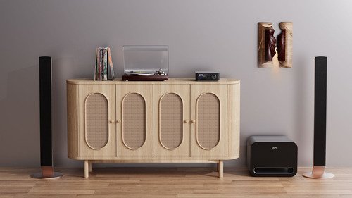 WiiM Sub Pro - Zwart - 11