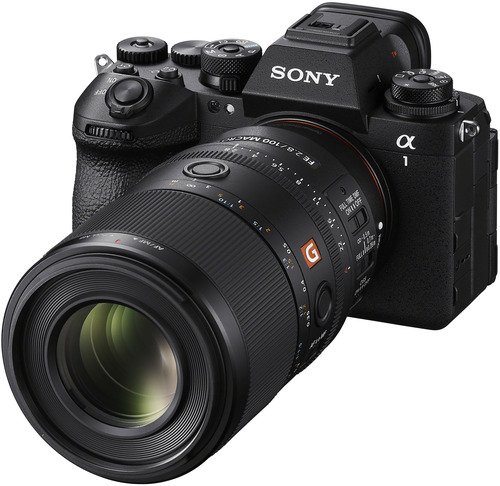 Sony FE 100mm F2.8 Macro GM OSS - 2