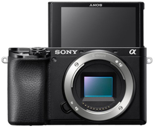 Sony A6100 + 16-50mm + SEL 55-210mm - 2