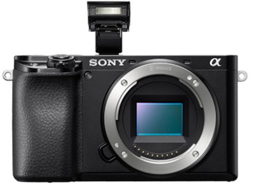 Sony A6100 + 16-50mm + SEL 55-210mm - 9