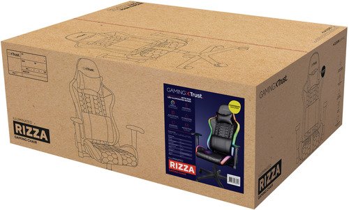 Trust GXT716 Rizza RGB LED Chair - 16