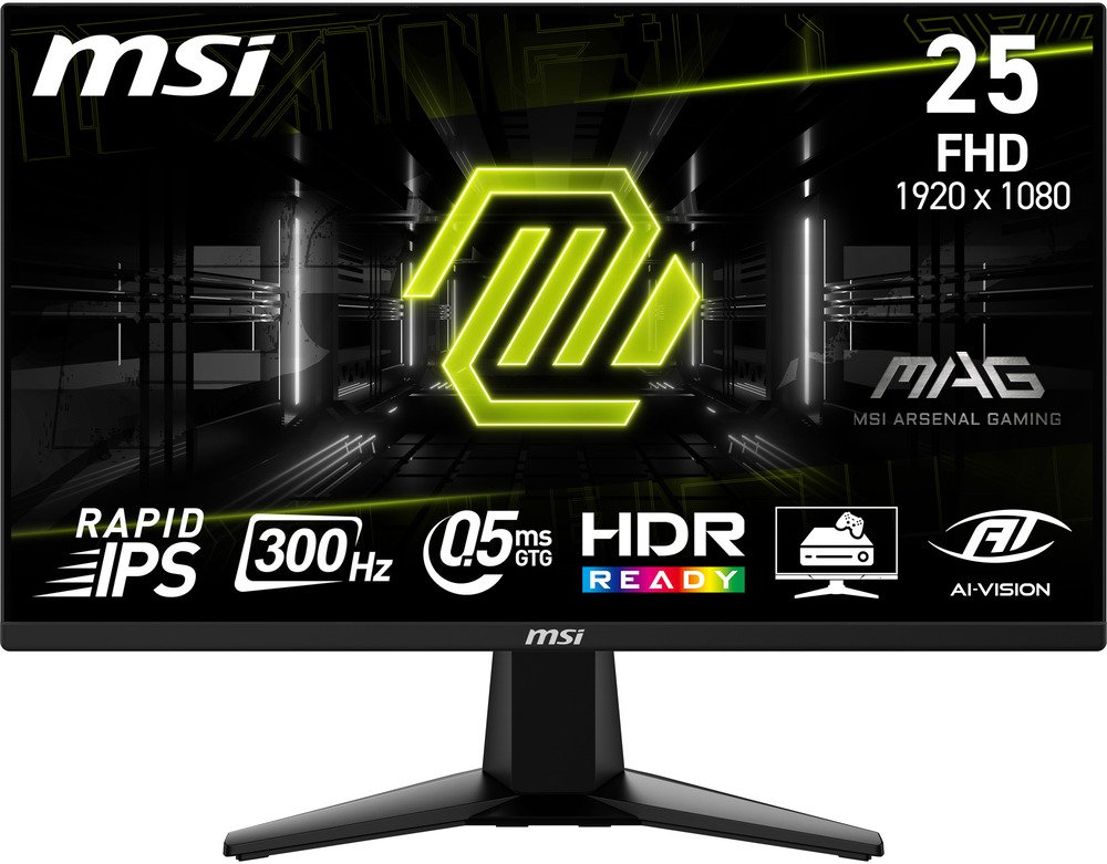MSI Monitor MAG 255XF |  | 4711377251204